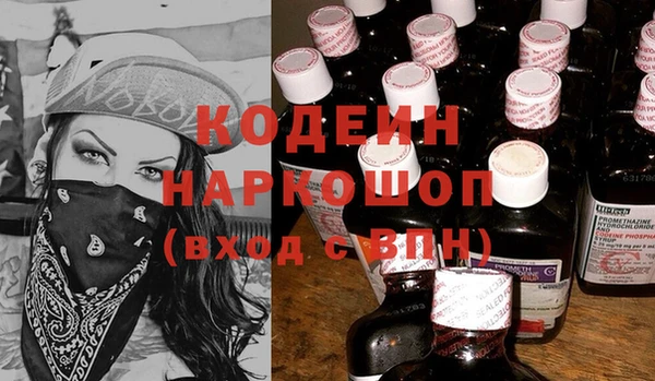 ECSTASY Няндома