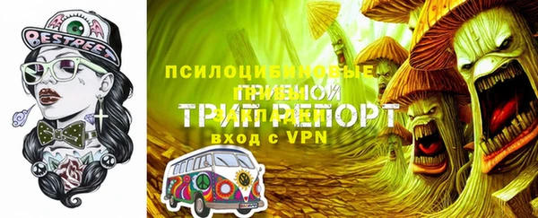 ECSTASY Няндома