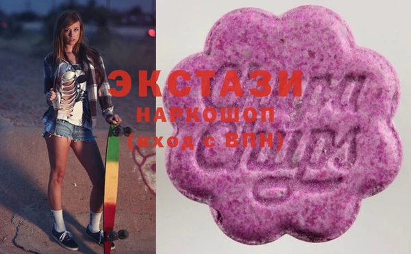 ECSTASY Няндома