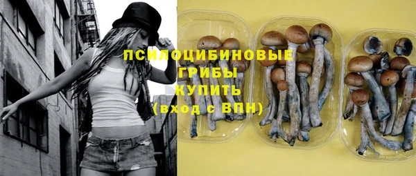 стаф Нягань