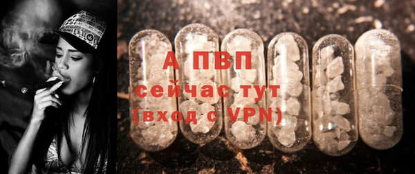стаф Нягань