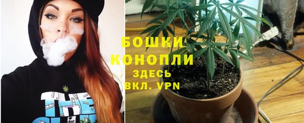 стаф Нягань