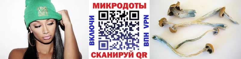 цена   Шагонар  Псилоцибиновые грибы ЛСД 